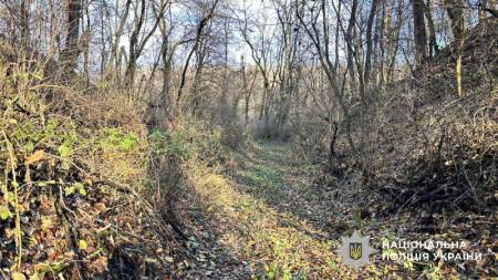 На Лубенщині завершилися пошуки зниклої жінки — її виявили загиблою у лісі