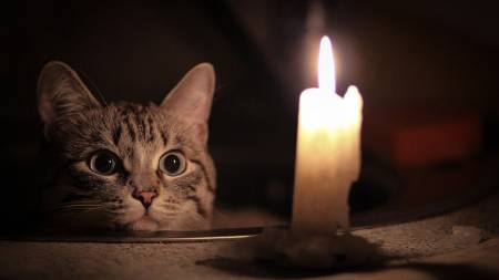 Графік погодинного відключення електроенергії на Полтавщині 15 листопада