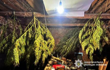 На Оржиччині поліція вилучила майже 6 кг наркотиків