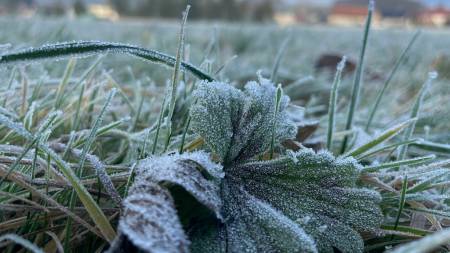 Дощі та мокрий сніг зміняться похолоданням: прогноз погоди по Полтавщині на 19–21 листопада