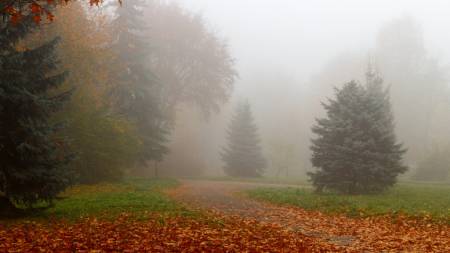 Полтавщина у тумані та дощах: осінь не відступає