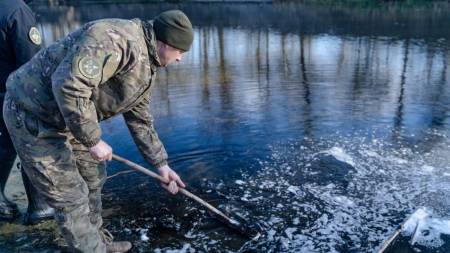 У Ворсклу випустили 10 000 товстолобів