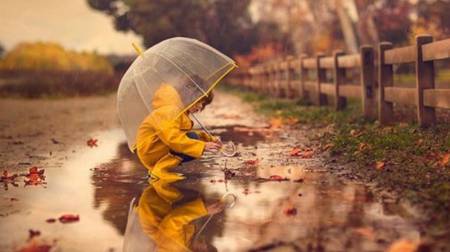 Осінь поступово поступається зимі: новий тиждень на Полтавщині буде прохолоднішим