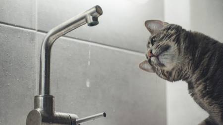 У деяких мікрорайонах Кобеляк немає води