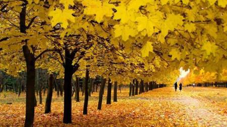 Прогноз погоди по Полтавщині на 25–27 листопада