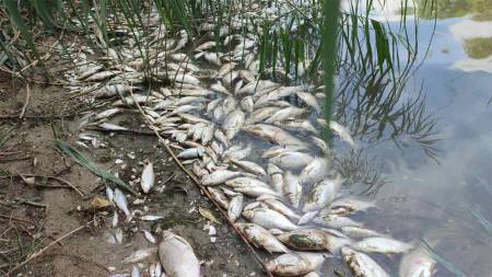 У Кобеляках знову загроза екологічної катастрофи