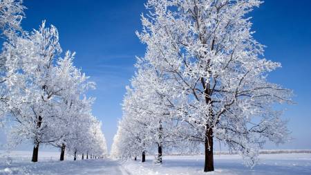 Що зміниться у грудні