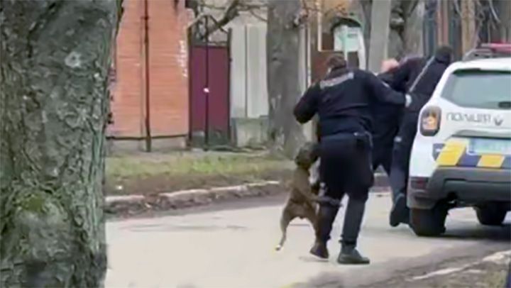 У Полтаві чоловік нацькував собаку на двох поліцейських