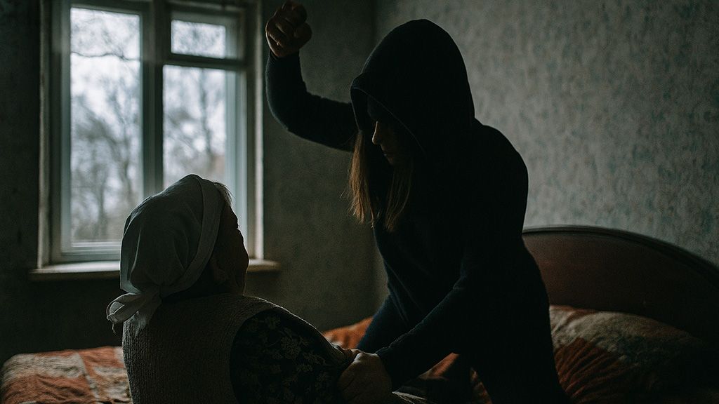 Розбій у Придніпрянському: обвинувачену засудили на 8 років