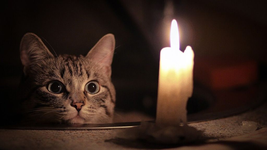 Графік погодинного відключення електроенергії на Полтавщині 6 грудня