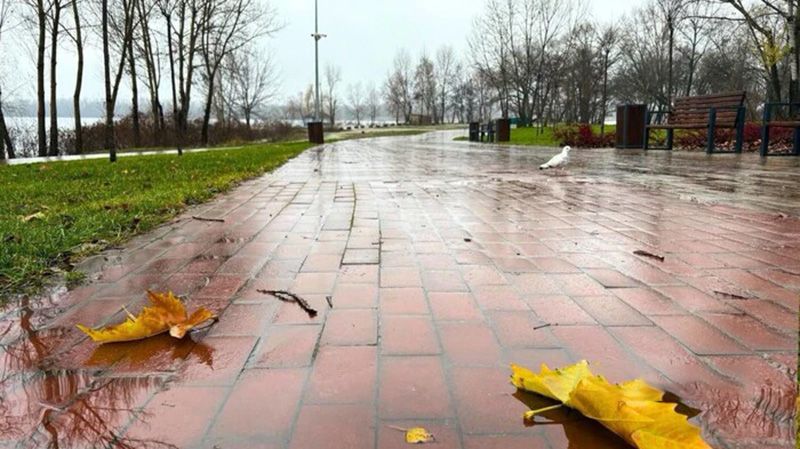 На Полтавщині буде хмарно з проясненнями, без опадів