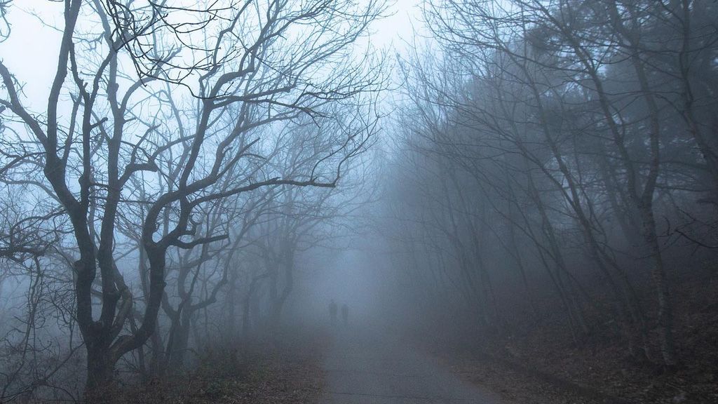 Полтавщина готується до туманів, дощів та перших морозів