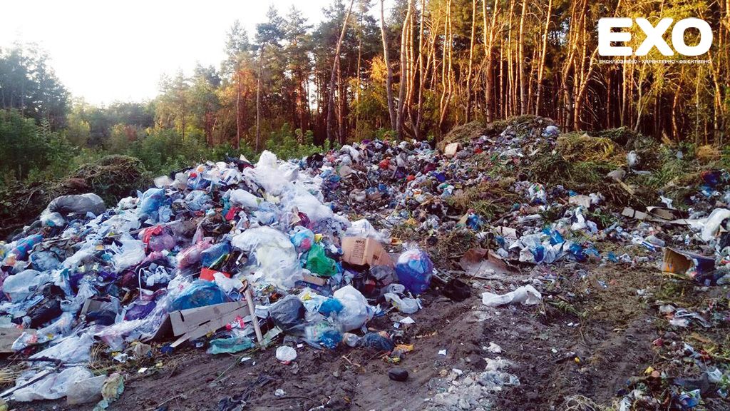 Звалище в лісі «чекатиме» закінчення війни