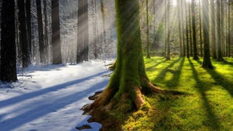 Гідрометцентр зафіксував один із найпізніших переходів температури