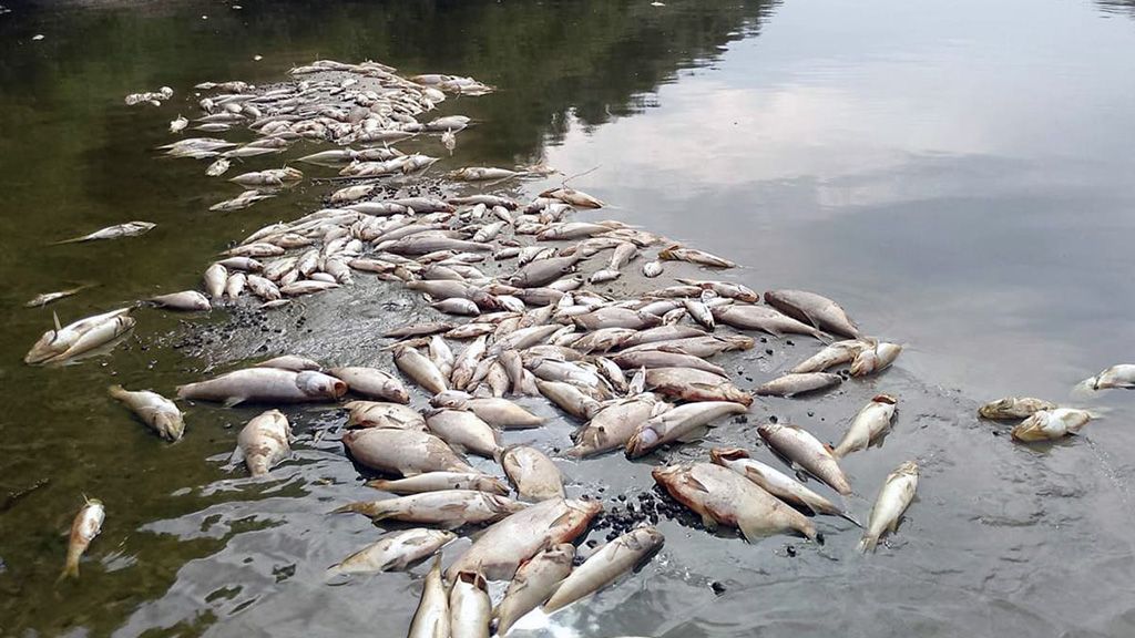 Нітратами забруднені 30 відсотків підземних вод