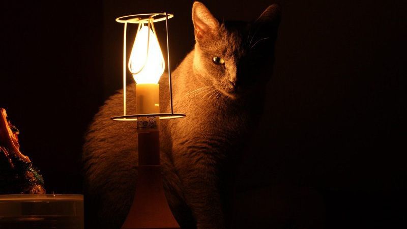 Графік погодинного відключення електроенергії на Полтавщині 22 грудня