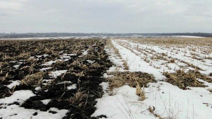 Замість морозів — дощі: як перша декада січня вплинула на поля області