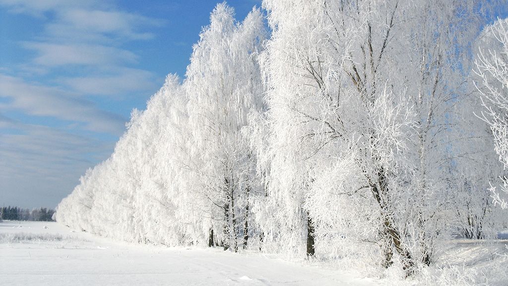 Прогноз погоди на Полтавщині: сильні морози та ожеледиця на дорогах