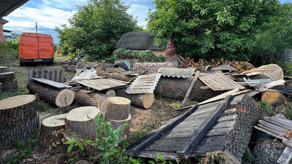 На Лубенщині викрито групу, яка незаконно вирубувала дуби