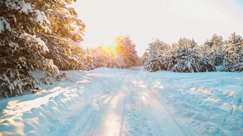 Прогноз погоди на Полтавщині 20-22 січня: морози не відступають