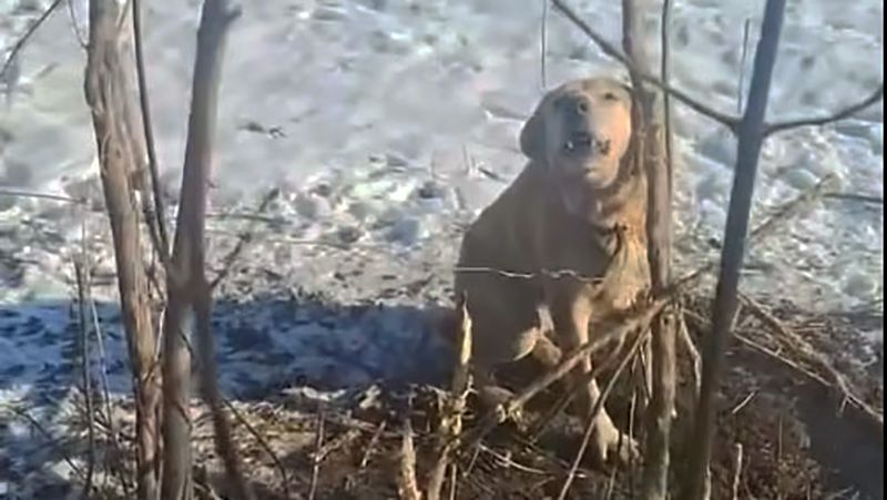 Рятувальна операція без хеппі-енду