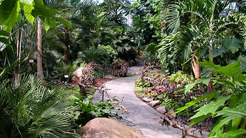 Найбільша в Європі оранжерея гине від холоду