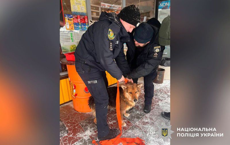 На Полтавщині поліцейські врятували собаку з каналізаційного люка
