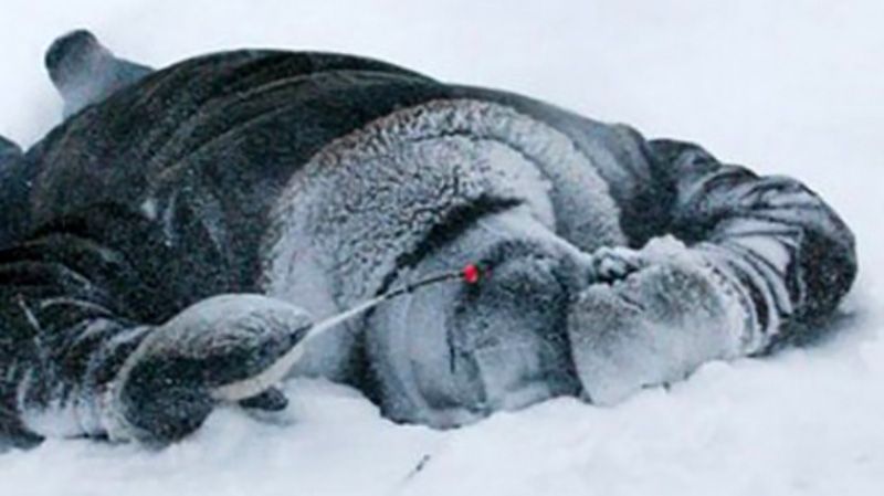 Жительку Лелюхівки врятували від холодної смерті