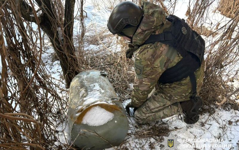 На Полтавщині ракета Х-101 упала на подвір’я приватного господарства і не зірвалася