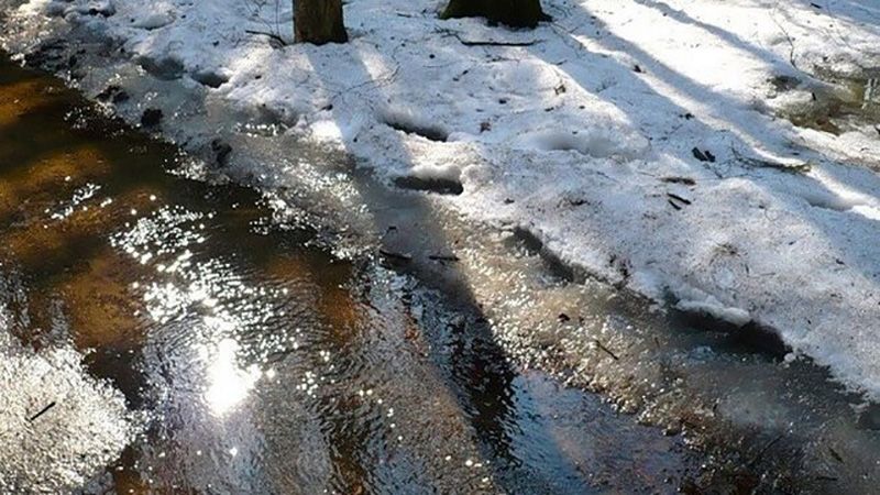 На Полтавщині очікують дощі, тумани та ожеледицю: прогноз на 13–15 лютого