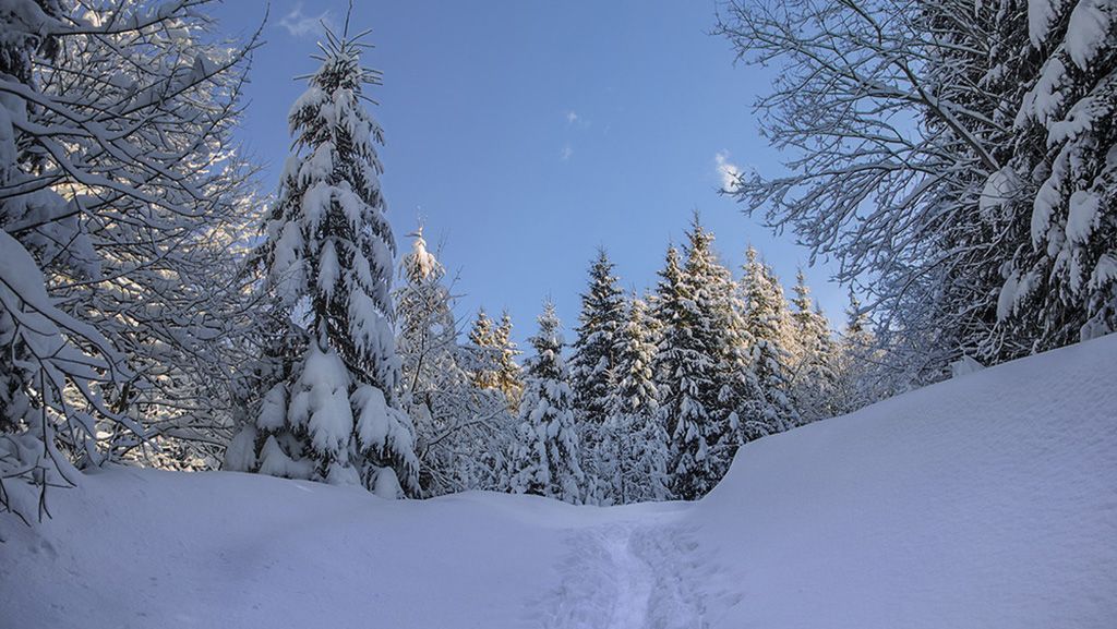 На Полтавщині очікуються хуртовини та морози: прогноз на 19–21 лютого