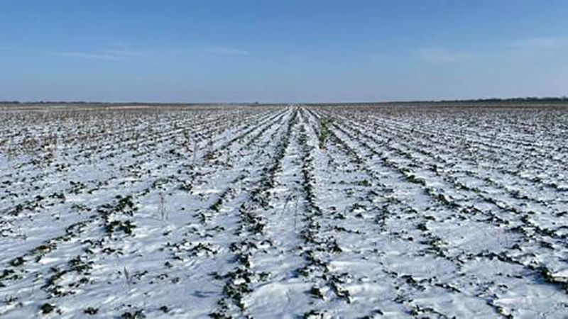 Прокуратура Полтавщини повернула у держвласність 120 гектарів землі, яку незаконно здали в оренду ще у 2012 році