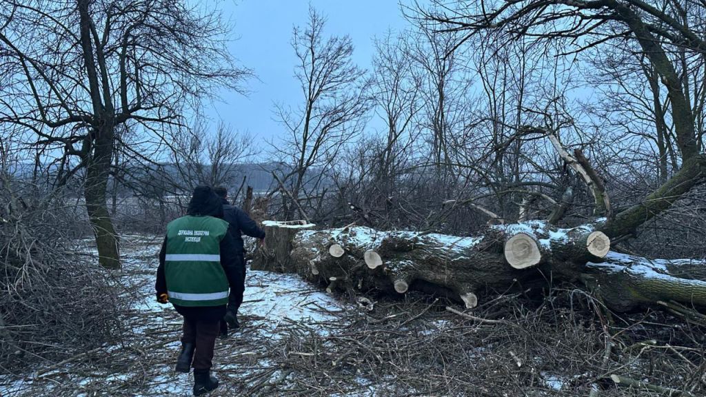 У Решетилівській громаді викрили незаконну порубку дерев: збитки — понад 100 тисяч гривень