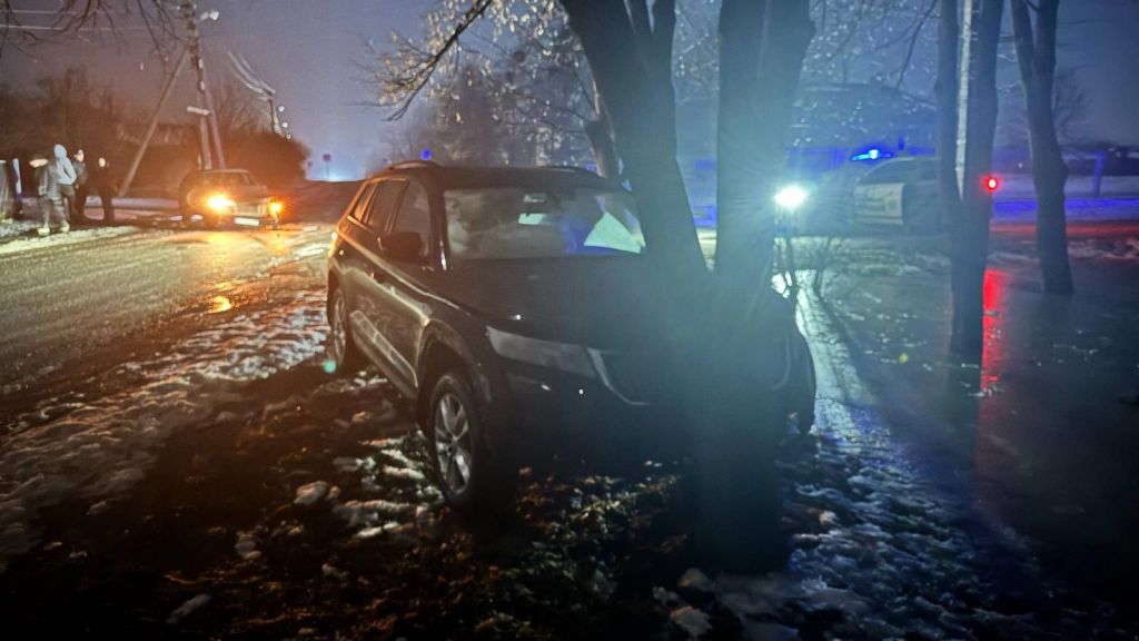 У Полтаві Shkoda зіткнулася із ВАЗом та в’їхала у дерево