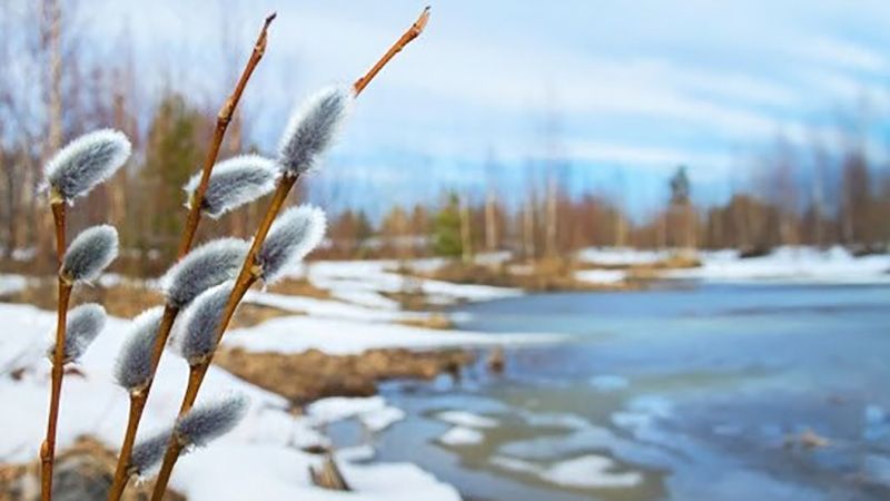 Березневі гойдалки: мороз уночі, плюс удень і ожеледиця на дорогах – прогноз погоди на Полтавщині