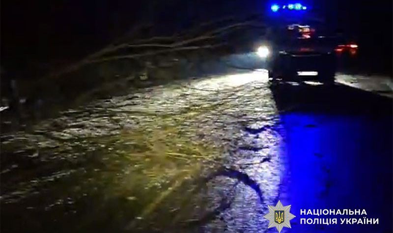 На Миргородщині автомобіль злетів у кювет: водія госпіталізовано