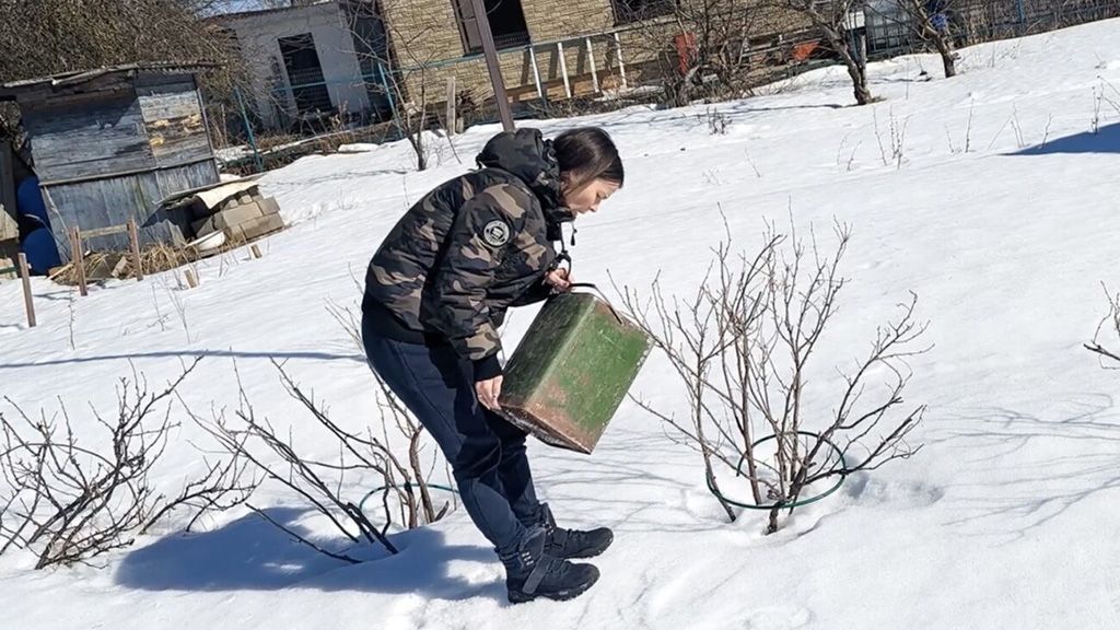 Підживлення саду і городу: не кидайте гроші на вітер