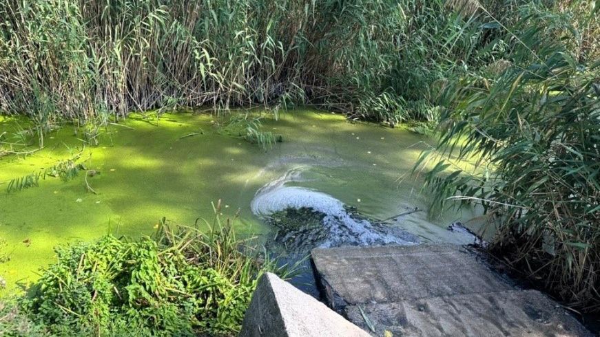 На Полтавщині суд розгляне справу щодо забруднення річки Орчик