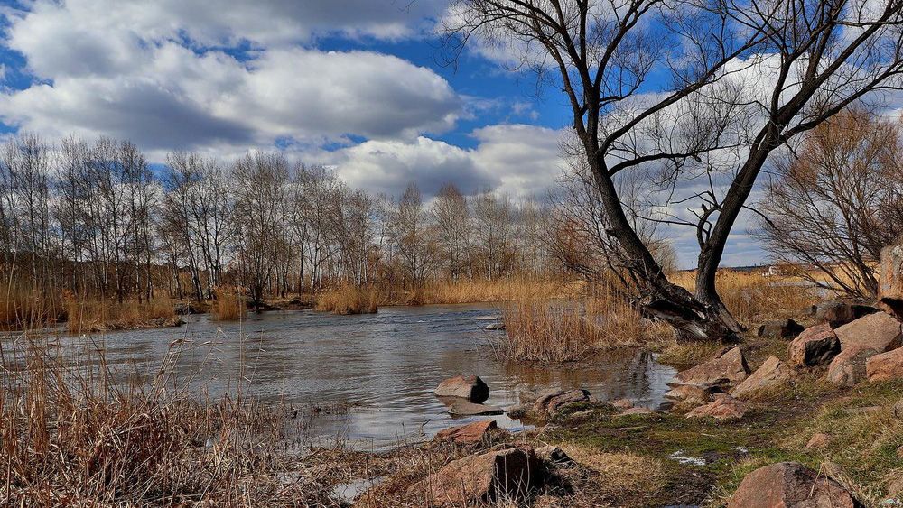 Мінлива хмарність та весняне тепло: прогноз погоди на Полтавщині