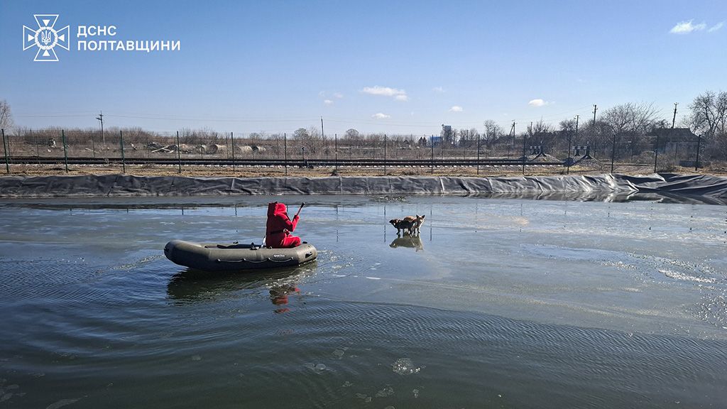 На Полтавщині рятувальники визволили собак із крижини