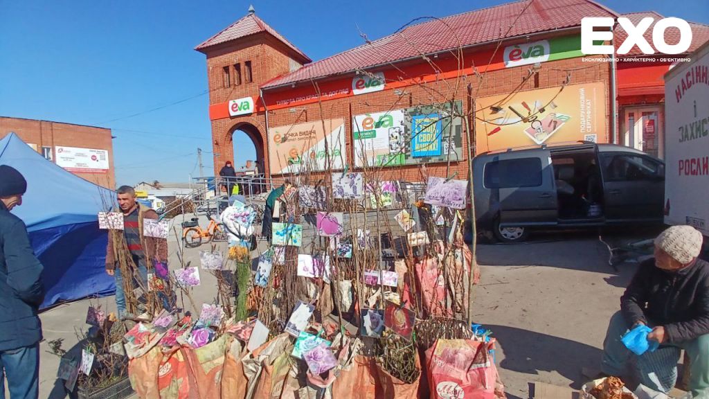 Кобелячани почали весняні закупи
