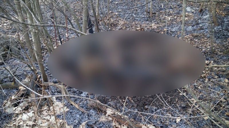 Трагедія на Миргородщині: жінка загинула під час спалювання листя