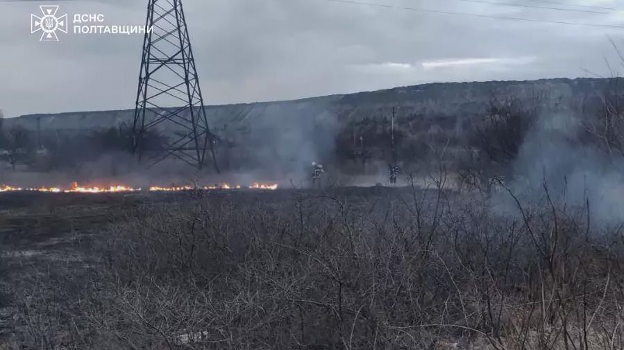 На Полтавщині рятувальники за добу ліквідували 12 пожеж сухої рослинності