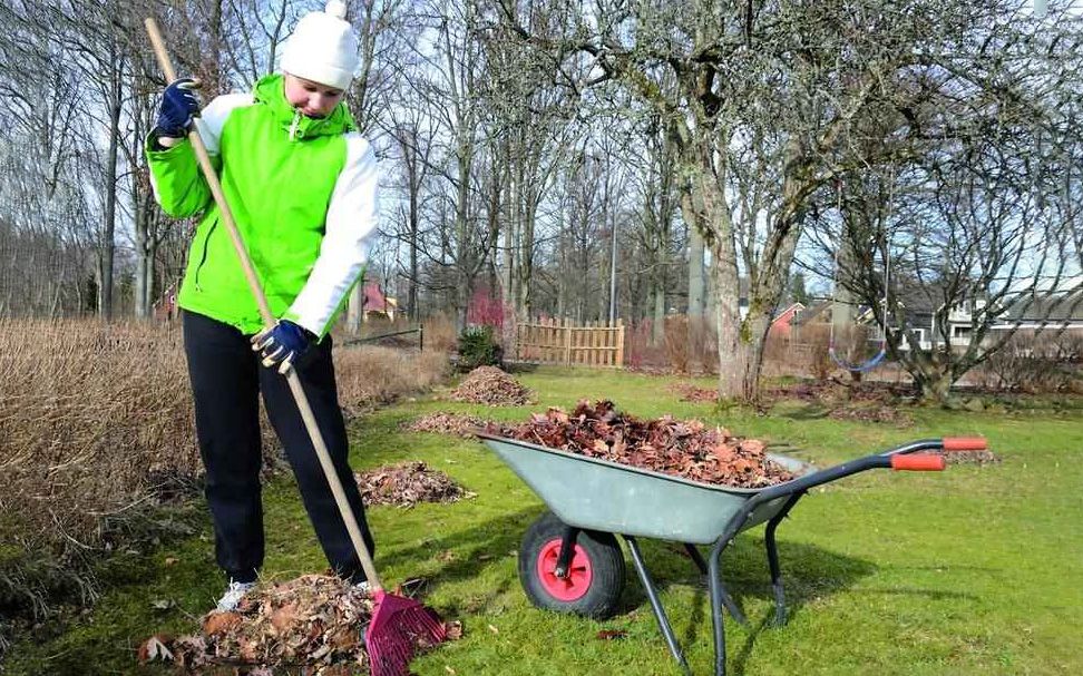 Між двома війнами