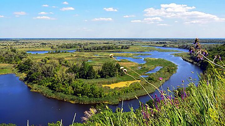 «Нижньоворсклянському» повернули 24 гектари землі
