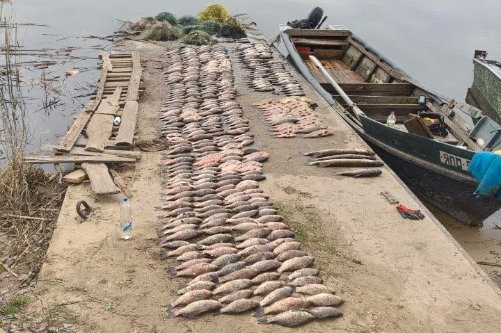 Біля Світлогірського виловили 458 кілограмів риби