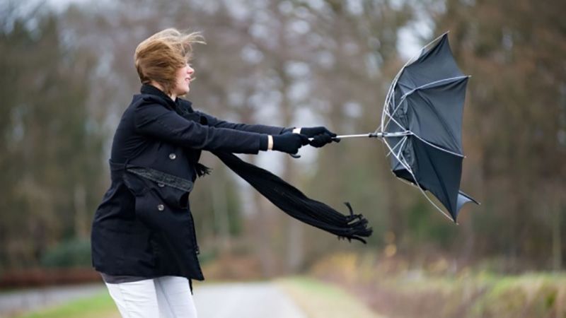 Прогноз погоди на Полтавщині: дощі, поривчастий вітер та можливі заморозки