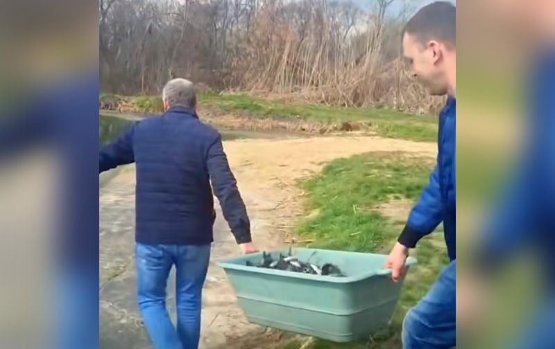 У Козельщині ставок поповнили «санітарними» товстолобами