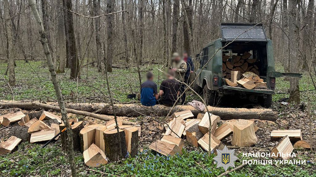 На Полтавщині викрили незаконну порубку дубів