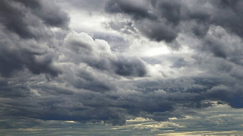 15 квітня на Полтавщині вдень відчутно потепліє, але вночі ще можливі заморозки